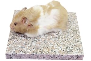 Emours Pierre de granit pour le refroidissement des hamsters, Accessoire pour petits animaux 8,9 x 8,9 cm