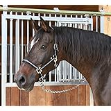 Kerbl Halfter Mustang 2-Fach verstellbar, Schwarz/Silber, 1, 321960