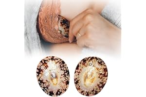 DIFLAX 2 Pièces Coquillages D'Allaitement Naturels, Mamelon-Protector Gegen Crevasses, Écologique Stilllösung, Coussinet D'Allaitement, Bout De Sein, Reizungen Vorbeugen Pour Mamans Allaitantes