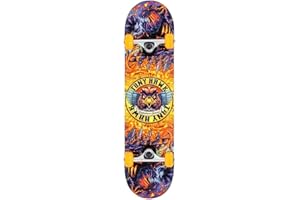 Tony Hawk Skateboard completo serie SS 360
