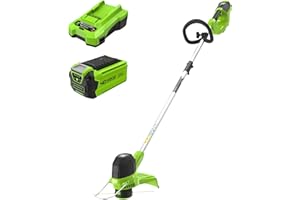 Greenworks 40V Tagliabordi a Batteria per Giardini Medi, Altezza Regolabile, Ampiezza di Taglio 30cm, Filo di Nylon da 1,65mm con Autofeed, Batteria 40V 2Ah e Caricabatterie, Garanzia 3 Anni G40LTK2