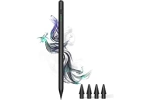 DOGAIN Stylus Pen for iPad 9th&10th - Type-c Charging Magnetic Pencil with Palm Rejection for Pad （2018-2023） Compatible with Apple iPad 6/7/8/9/10，iPad Air 3/4/5，iPad Mini 5/6, iPad Pro 11"/12.9"（Black）