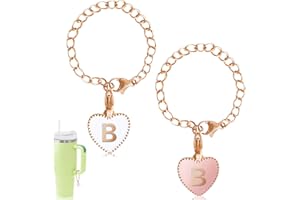 TDONE 2pcs Letter Charm Accessories for Stanley Cup, Initial Letter Personalized Name ID Handle Chain for Stanley Tumblers