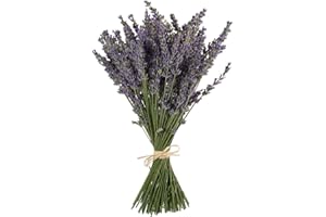TooGet Natural Lavender Bundles, Freshly Harvested 200+ Stems Dried Lavender Bunch 16" - 18" Long, Decorative Flowers Bouquet for Home Decor, Crafts, Gift, Wedding or Any Occasion