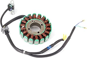CMPO 125cc Motorcycle Stator ZY125 compatible with Lexmoto ZSX-F 125 ZS125-48E/ZSX-R 125 ZS125-48F, compatible with Sinnis RSX 125 ZS125-80