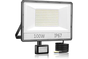 ANNIFUNLY Projecteur LED Exterieur Detecteur de Mouvement, 100W 10000LM Spot LED Extérieur 6500K, Puissant Projecteur Exterieur LED Blanc Froid, Eclairage Exterieur IP67 Etanche, Lampe pour Terrasse Jardin
