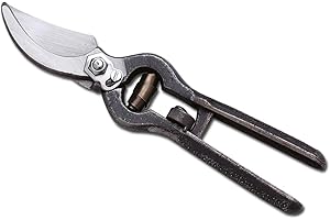 AUSONIA - AUSONIA - Forbice da potatura - Forbice da giardino - Forbice vigna brunita cm.21 aus