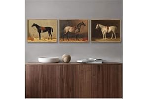 MULMF Vintage Horse Poster Antike Horse Farm Tiere Leinwand Malerei Drucke Pferd Wandkunst Bild für Wohnzimmer Dekor 30x40cmx3 ungerahmt