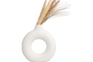 Acasimo Vaso in Ceramica Vasi di Fiori Rotondi Fatti a Mano Vasi Decorativi Set Ornamenti per La Decorazione Domestica dell'Ufficio