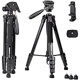 CAMBOFOTO 74"/188cm Kompaktstativ für Nikon Canon Sony mit Tragetasche 1/4 Universal-Schraubbefestigung Leichtes Stativ 3-Weg