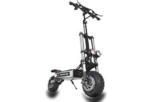 HWWH Patinete Electrico Adulto Potente Plegable Scooter Eléctrico Todoterreno Dual Motor Dual Drive 11in Neumáticos de Vacío Carga máxima 400KG Batería de Litio de 60V 40Ah