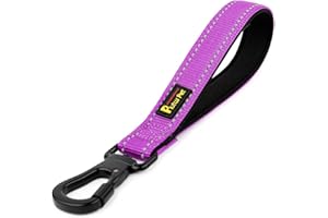 PLUTUS PET Strong Training Dog Lead with Rock Climing Carabiner Clip, Relective Nylon Dog leash Padded Handle, Training Lead for Large and Medium Dogs(25cm,Pruple)