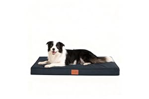 WAVVE Cuccia Cane Taglia Grande, Ortopedica Cuscino per Cani, Letto per Cani Sfoderabile e Lavabile, Divano per Cani in Uovo Foam, Base Antiscivolo, Fodera Impermeabile, 91 x 69 x 7.6 cm, Grigio