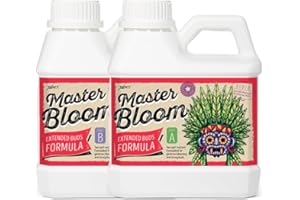Xpert Nutrients Master Bloom A+B Engrais Liquide stimulateur de Floraison pour Plantes (1L)