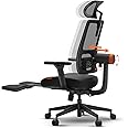 DROGO Ergonomic Office Chair for Work from Home, High Back Computer Chair with Adaptive Lumbar Support, 4D Armrest, Footrest, Recline, Adjustable Height & Headrest, Mesh Chair for Office (Black)