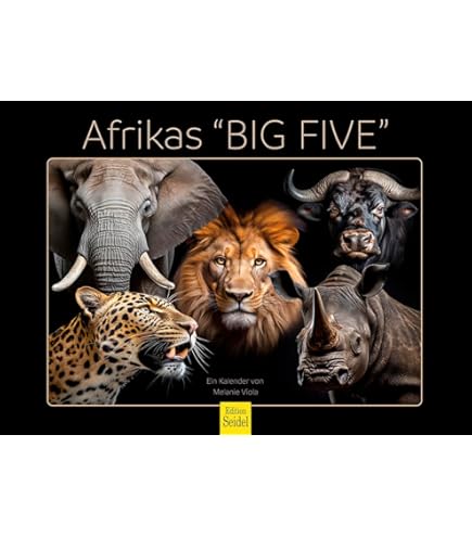 Edition Seidel Calendario Premium Fascino Dinosauro 2025 Formato Din A4 Da Parete Con Animali Giurassici Dino Tyrannosaurus Rex Rettili 1175010298