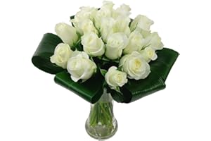 Clare Florist Innocence White Roses Fresh Flowers Bouquet - An Elegant Bouquet of 20 White Roses Delivered Next Day