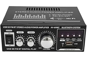 ACMOMO 400W Amplificatore di Potenza Audio, Mini Up to 12V / 220V Ricevitore Audio Digitale BT Slot USB SD AMP Lettore MP3 Radio Doppio Ingresso Microfono Doppio Canale per Auto