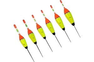 ZHYUAN ZHYAUN 6 Piezas,Flotador de Trucha,Flotador para Pesca en mar,EVA Pesca Flotador,Juego de Flotadores de Pesca,Flotadores de Pesca,Flotador de Pesca Luminoso,EVA Pesca Flotador para Mar,Boyas De Pesca