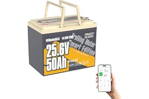 Power Queen Batería LiFePO4 de 24V 50Ah con Bluetooth, Protección de Baja Temperatura, Mini Tamaño, 1280Wh, Batería de Fosfato de Litio de Ciclo Profundo para Motor de Trolling de 24V (70-100 lb)