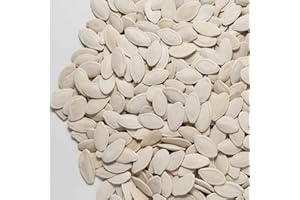 Il Contadino - Antichi Sapori | SEMI DI ZUCCA TOSTATI E SALATI | Confezione Salva Freschezza, Tostatura Frequente, Frutta Secca di Qualità Premium, No Conservanti (1 Kg)