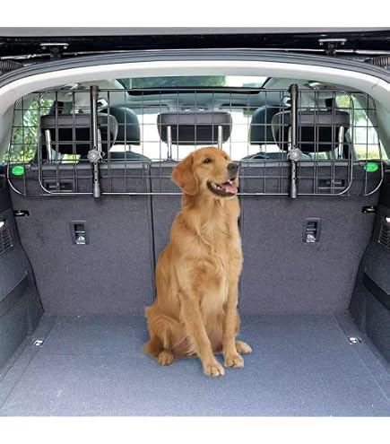 Hundegitter Als Raumteiler Für Dacia Lodgy, Bj. 2012 - 2022
