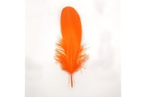 GENERIC Natürliche Federn Gänsefedern, ca. 15-20 cm, 10 Stück, Orange - Kopper-24 Gans Schwanzfedern Schmuck Dekoration Bastelfedern für Hochzeit Karneval Party Deko Kostüme Natur Basteln