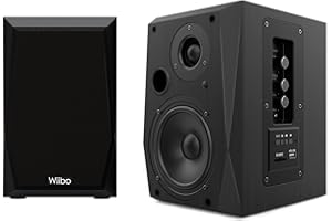 WIIBO ACOUSTICS Wiibo Neo 50 Black - Altavoces Activo y Pasivo Profesionales - Potencia de 50W - Altavoz con Bluetooth - Conexión USB/SD - Sistema Bass Reflex - Mando a Distancia Incluido - Color Negro