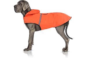 Bella & Balu Płaszcz dla psów – wodoszczelna kurtka dla psa z kapturem i elementami odblaskowymi do suchych, bezpiecznych spacerów z psem, na plac zabaw i urlop z psem (XL, pomarańczowy)