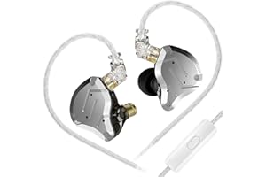 Yinyoo KZ ZS10 Pro Ecouteurs Filaires avec Micro Ecouteurs Gaming 4BA+1DD pour Jeux 5 Drivers IEM en INOX et Résine avec Cable de 2pin Détachable en OFC
