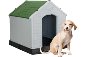 Aqpet Cuccia per Cani in Plastica per Esterno Interno Casa Giardino, Impermeabile con Pavimento Rialzato, per Cani Taglia Media 87 x 78 x 81 H, Verde