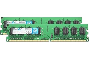 BRAINZAP Memoria RAM DDR2 de 4 GB (2 x 2 GB), DIMM PC2-5300U, 2Rx8, 667 MHz, 1,8 V, CL5