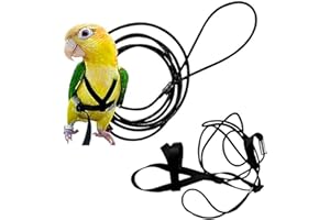 Anelekor Harnais réglable pour oiseaux et laisse pour perroquet, fournitures de dressage pour animaux domestiques, corde volante pour conures, perruche, inséparable, calopsitte mynah (taille S, noir)