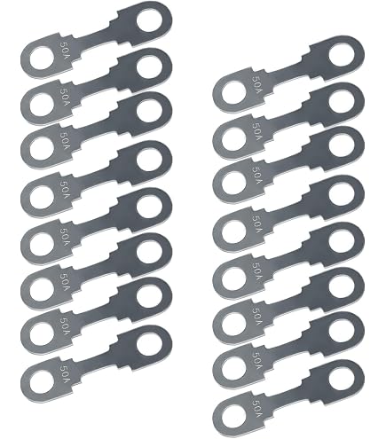 Lot De 20 Fusibles Auto Plat 12V - 100A Et 110A - Pour VW, Audi, SEAT, Skoda - Dimensions 42mm (Trous 5.5mm)