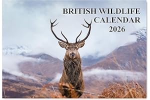 British Wildlife Calendar 2026 12 Month to View A4 Wall Calendar 2026 A3 When Open Calendar 2026 Wildlife Papa Prints