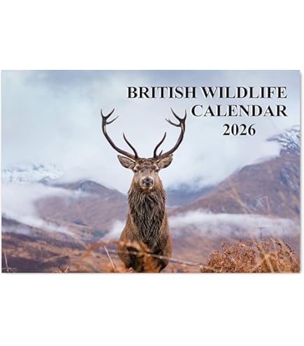 Libro Lizard Peninsula a4 Calendar 2023 De