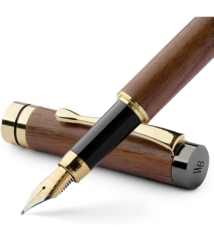Generico Pennini Stilografica Sostituibili Per Calligrafia Punta Di Ricambio in Metallo Per Scrittura Pittura E Firma Accessori Penna Stilografica