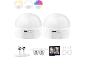 Newfun USB-C Rechargeable Battery Light Bulb, 2800 mAh, E27, Remote Control Timer/Dimmer, 14 Modes 3 Color Temperatures, Detachable 5W LED Light Bulb for Bedroom/Living Room/Power Outage-2pcs