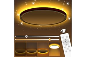 PAZEAU Plafoniera Lampada da Soffitto a LED, 24W Plafoniere Lampadario con Telecomando, Luce Notturna Dimmerabile1800K, 3000K-6500K Lampadari per Camere, Bagno, Cucina,da Letto, Soggiorni, Ø29.5cm