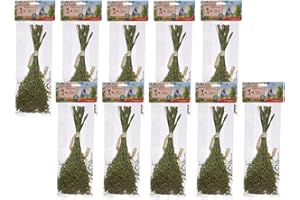 Dehner Best Nature 10 x 50g (500g) 100% Natural Bird Snack Snack Snack for Budgies, Canaries, Ornamental Birds, Panicle Millet