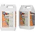 Euroshield Anti-Graffiti Coating – Long-Term Protection, Water-Based, Easy Application, Transparent Shield for Brick, Stone, Metal & Painted Surfaces – Industrial & Home Use 2 x 5 Litres (10L)