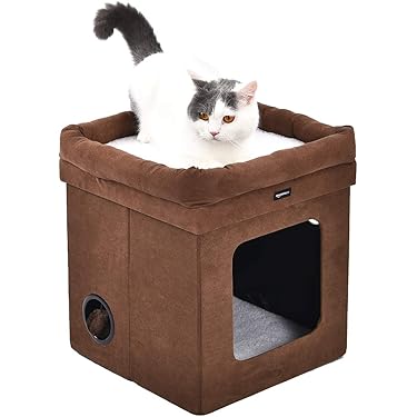 Zapatillas de Casa de Gatos - Colección Nueva 2026