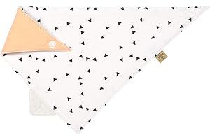 LÄSSIG Baby Bandana mit Beißhilfe Lätzchen Baumwolle Druckknopf saugfähig doppellagig beidseitig tragbar/Bandana, Little Spookies, orange
