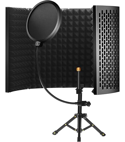 Cm-100B Microphone À Condensateur - Micro Cardioïde À Grand Diaphragme