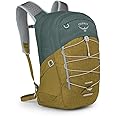 Osprey unisex-adult Quasar 26 backpacks