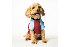 Dogsy Official West Ham Dog Shirt | Dog Football Shirt | West Ham United | West Ham Football Shirt For Your Dog | West Ham Merchandise | West Ham Gifts For Men & Women (Small)