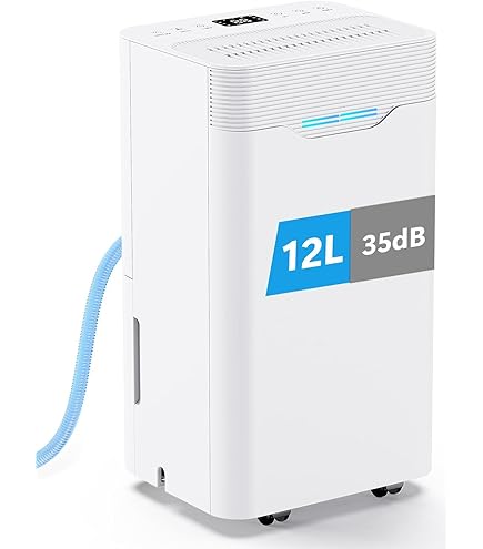 Dehumidifier DH20 Air Dehumidifier For Clothes Drying, Black