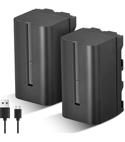 Batteria agli ioni di litio ad alte prestazioni, 2100 mAh, sostituisce Sony NP-FH70 NP-FH100 NP-FP-30 NP-FP-50 NP-FP-51 NP-FP-60 NP-FP-61 NP-FP-70 NP-FP-71 FP-90 NP-FP-91