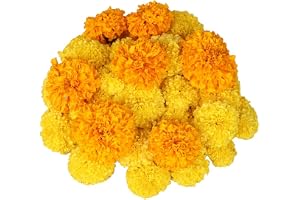 HOOVU Fresh Mary Gold flowers, 100 gms