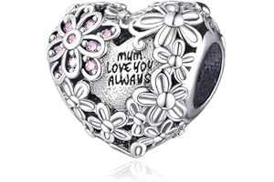 XWN Ciondolo Argento Sterling 925 con Cubic Zirconia Pendenti per Pandora Braccialetti, Compatibile con Braccialetti e Collane europei, perfetto Regali per Moglie e Ragazze X2